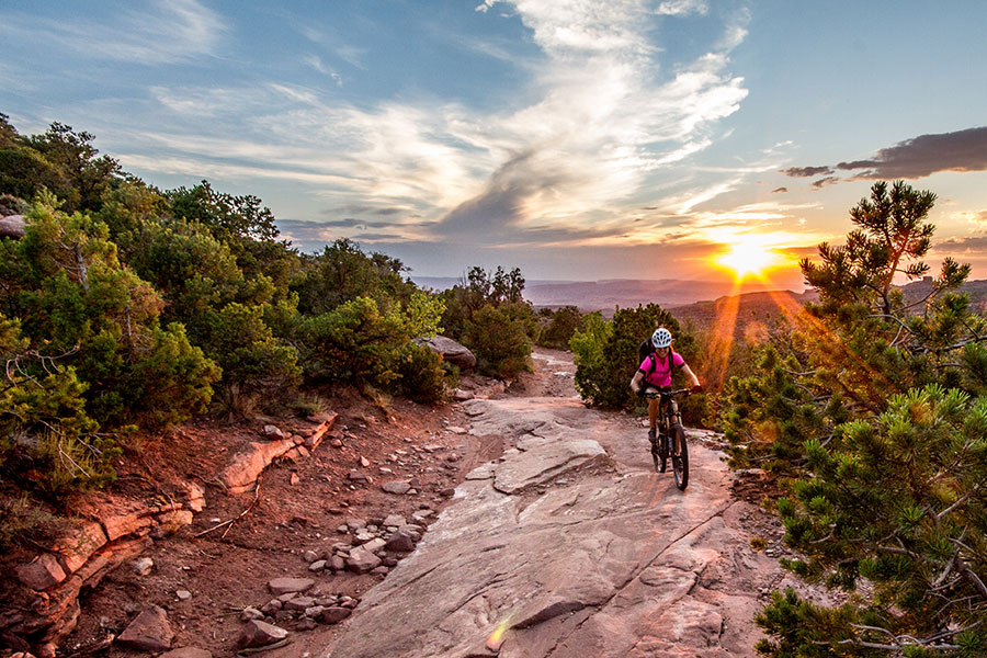 mountain bike vacations