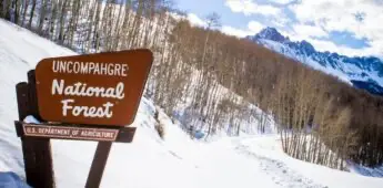 Uncompahgre National Forest Sign