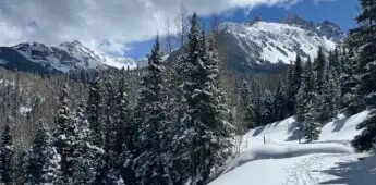 Snowy Fresh Trail