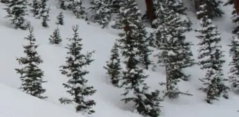 Man on downhill skis