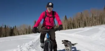 Dog and Biker